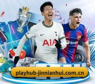playhub-jinnianhui.com.cn的方向